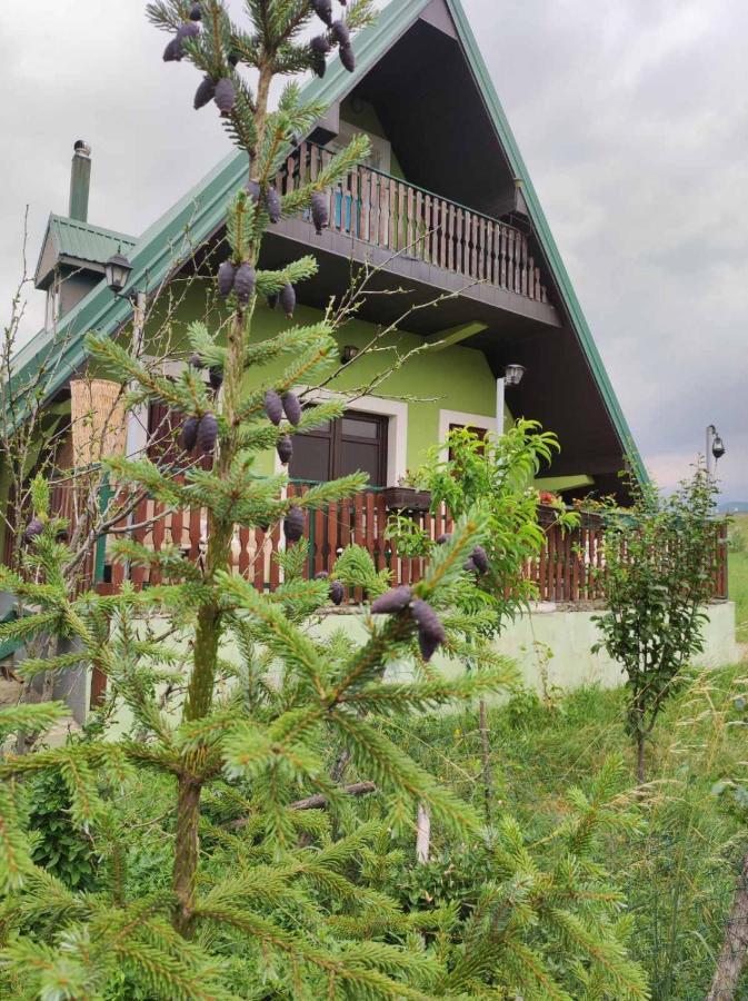 Villa Jasikovac Беране Екстер'єр фото