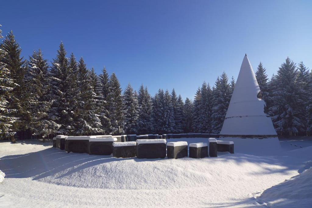 Villa Jasikovac Беране Екстер'єр фото
